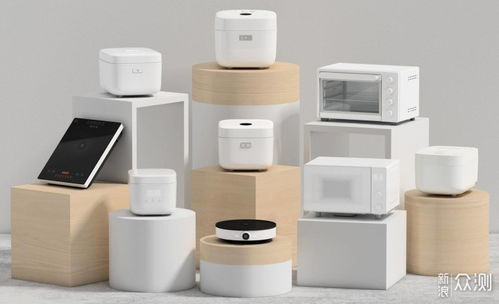 米家電壓力鍋 年輕人的第一臺高壓鍋與懶人煮菜神器